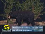Mechanical animal for museum Black bear DWA085